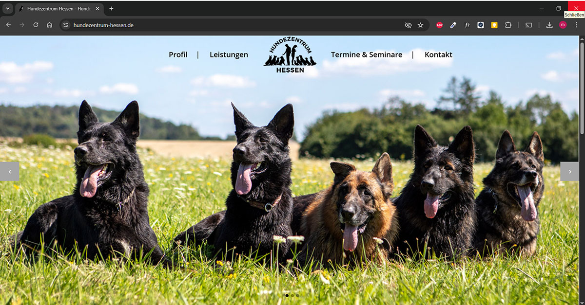 hundezentrum hessen start
